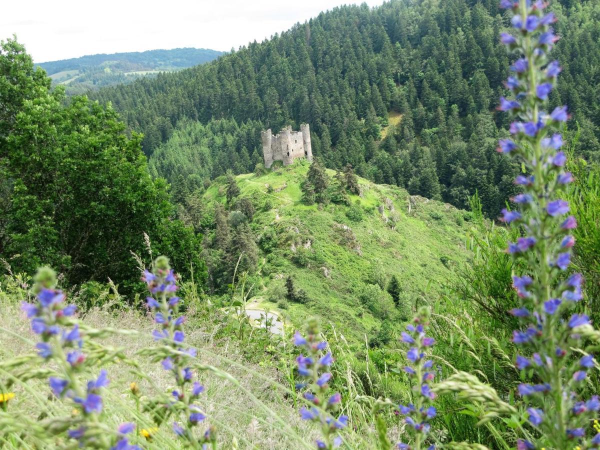 Hotel Des Rochers Marvejols Bagian luar foto